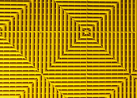   Citrus Yellow