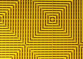   Citrus Yellow
