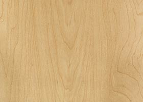 Hardrock Maple
